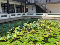 -长洲岛