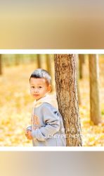 -蜜糖派儿童摄影(青建·太阳岛店)