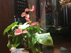 -印象江南(东栅店)