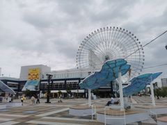 -大阪海游馆