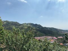 -北宅大永樱桃采摘基地(崂山总部)