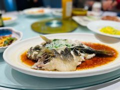 -同济大酒店(绿宝广场店)