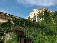 -府河摄影公园