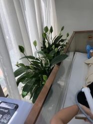 -悟空祛痘·诺奖技术专业店