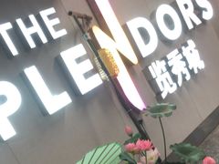 -金茂览秀城