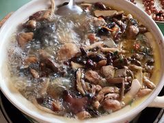 -杨记山珍鸡煲菌汤锅