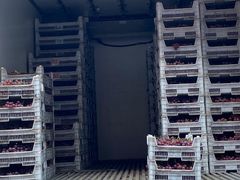 -徐州雨润农副产品全球采购中心