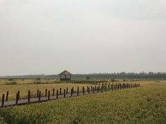 -西青郊野公园