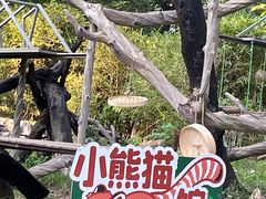 -广州动物园