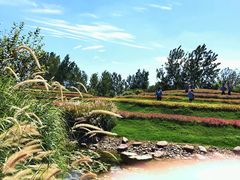 -南通洲际绿博园