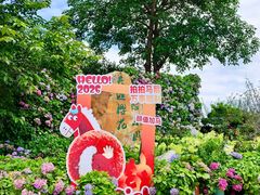 -天适樱花悠乐园