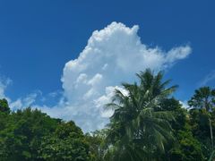 -新加坡水上探险乐园