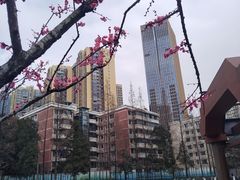 -成都市活水公园