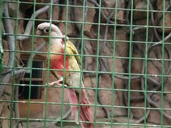 -西安秦岭野生动物园