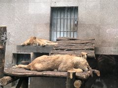 -西安秦岭野生动物园