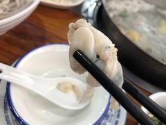 -章记正宗南岗鱼蛋火锅