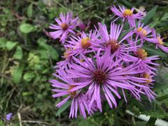 -紫海香堤香草艺术庄园