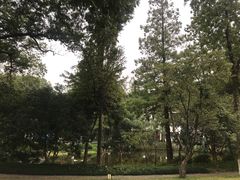 -杭州花家山庄