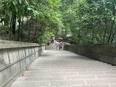 -都江堰普照寺