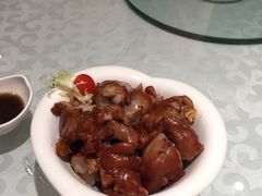 -金蝉食府(维吉奥广场店)