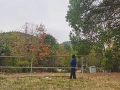 -青龙山国家森林公园