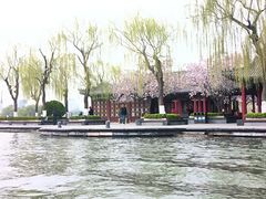 -济南大明湖景区