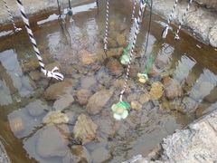 -天芳悦潭度假村温泉