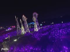 -大塘金香草谷