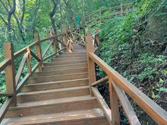 -大岭沟猕猴桃谷风景区