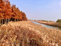 -苏州太湖国际会议中心