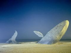 -烟台金沙滩海滨公园