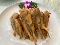 炸大头宝-牟传仁饭庄(星海店)