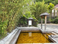 -罗浮山嘉宝田森林温泉度假酒店