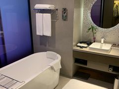 -南京禄口机场雅高铂尔曼大酒店