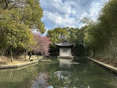 -兰亭风景区