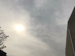 -中国艺术研究院油画院