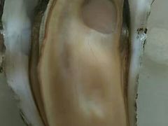 -赶海部落海鲜城(海阳路店)