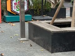 -麻雀咖啡SPARROW COFFEE(十全街店)