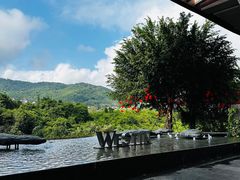 -石梅湾威斯汀度假酒店-品味餐厅·川湘菜·海鲜风味火锅·手工面食·万州烤鱼·口味牛蛙·小龙虾