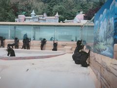 -东方熊牧场