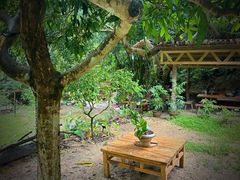 -梧桐山风景名胜区