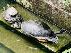 -宁波市保国寺古建筑博物馆