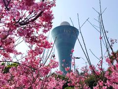 -狐尾山公园