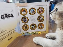 -超级猩猩健身·团课(高新园大冲商务中心二店)