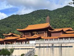 -深圳仙湖植物园