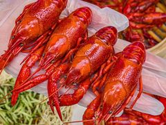 -可可大虾武汉土菜大排档(万松园1店)