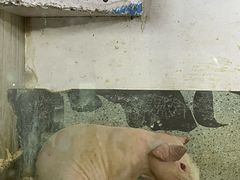 -嘉兴海底世界