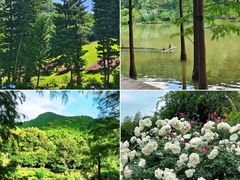 -深圳市中科院仙湖植物园