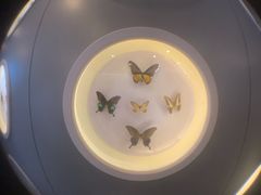 -下渚湖国家湿地公园科普馆