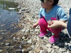 -永定河休闲森林公园